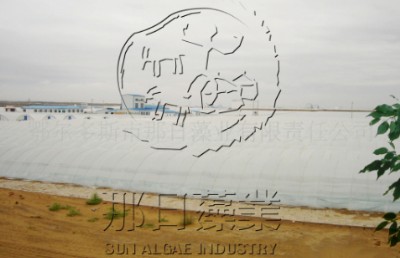 养殖大棚整体2.jpg